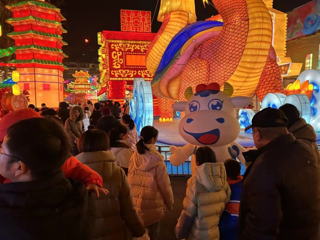 央視直播鄭州龍年燈會(huì)迎新春，花花牛品牌上大分
