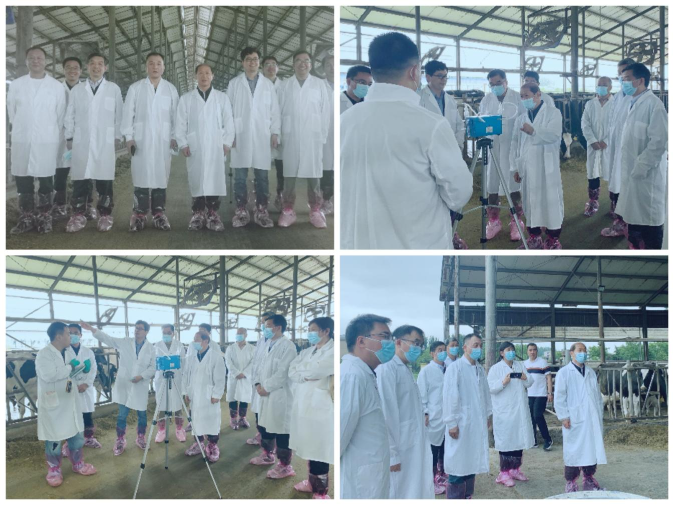 花花牛丨河南農(nóng)業(yè)大學(xué)黨委副書記、校長介曉磊一行蒞臨花花牛河南瑞亞參觀調(diào)研