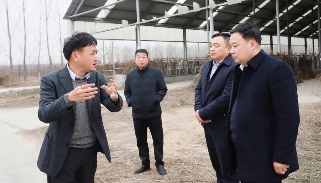 發(fā)揮產(chǎn)業(yè)優(yōu)勢 助力鄉(xiāng)村振興 | 民權(quán)縣委副書記、縣長王靜嫻會見關(guān)曉彥董事長一行