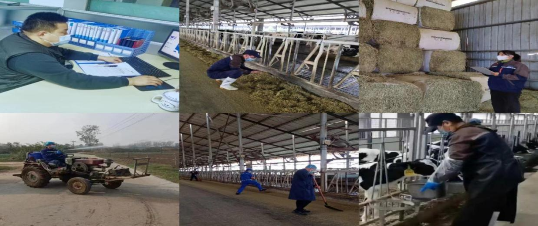 @全體花花牛人：請珍惜你的崗位，請善待我們共同的“花花?！保? style=