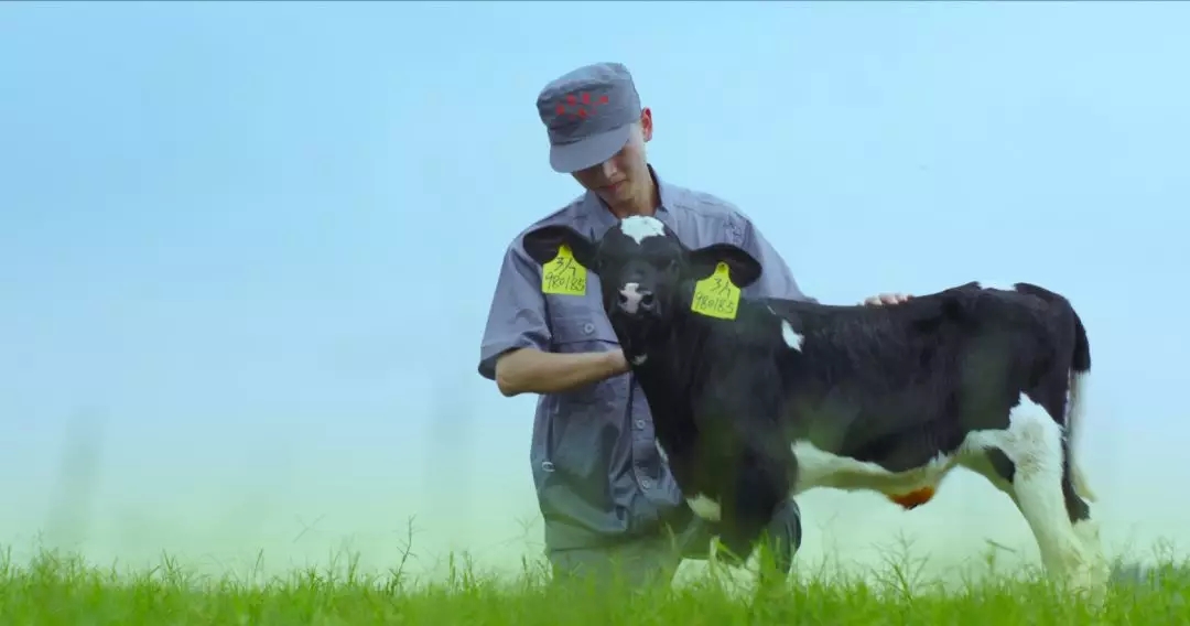 河南省人大常委會(huì)黨組書記、副主任孔昌生蒞臨花花牛魯山瑞亞牧場(chǎng)參觀調(diào)研