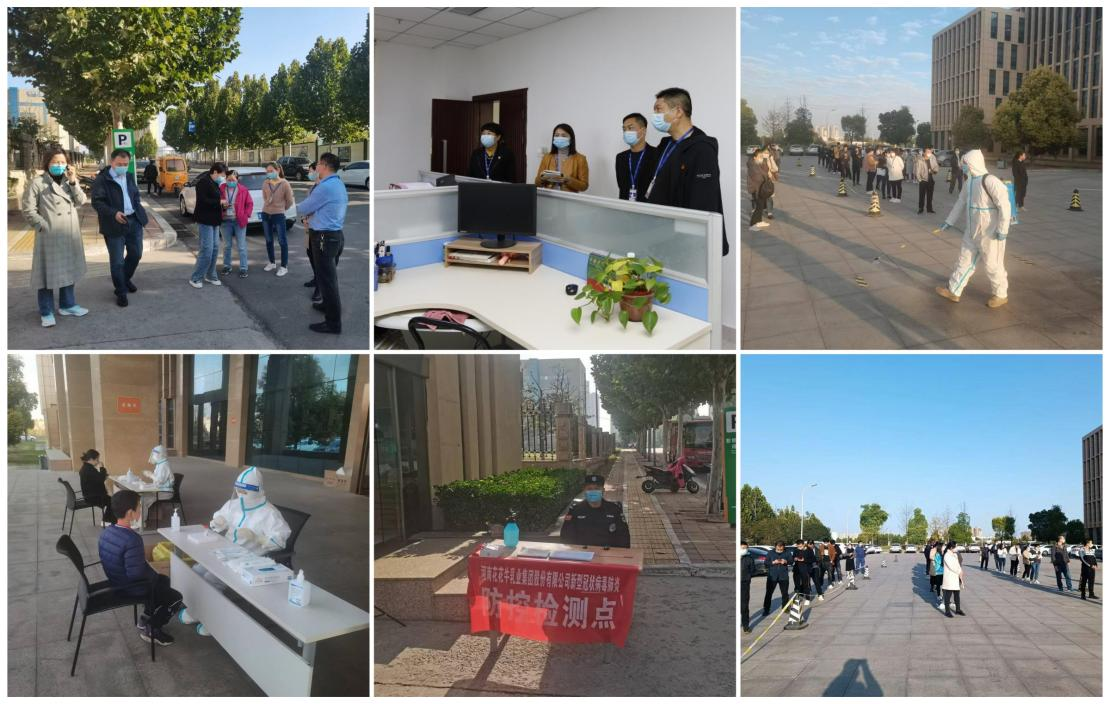 抗疫情、保供應、顯擔當——花花牛在行動?。。? style=