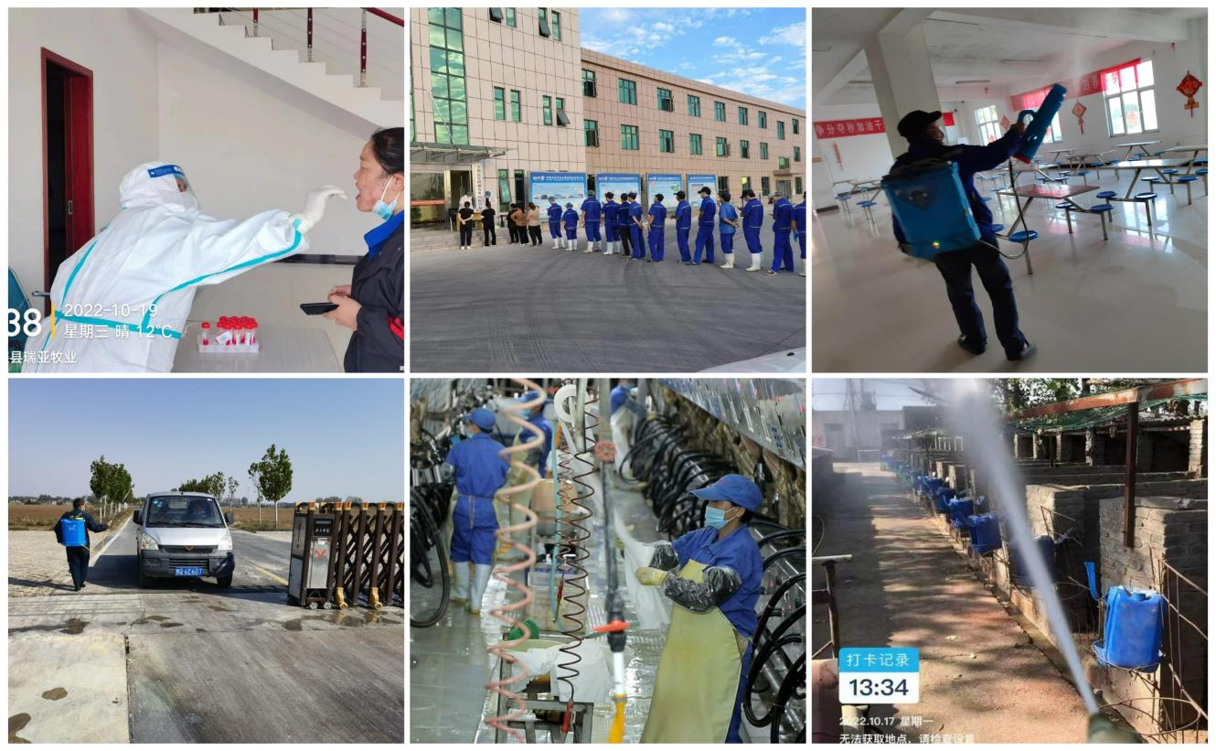 抗疫情、保供應、顯擔當——花花牛在行動！?。? style=