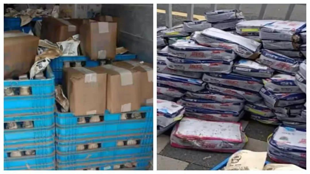 【乳報(bào)·聚焦】“豫”難而上的中原牛人“太中了”！