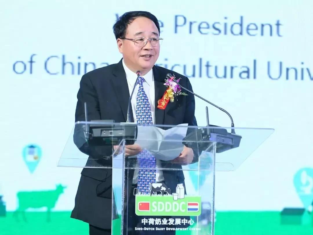 SDDDC走進(jìn)河南，看看花花牛的國(guó)際范兒！