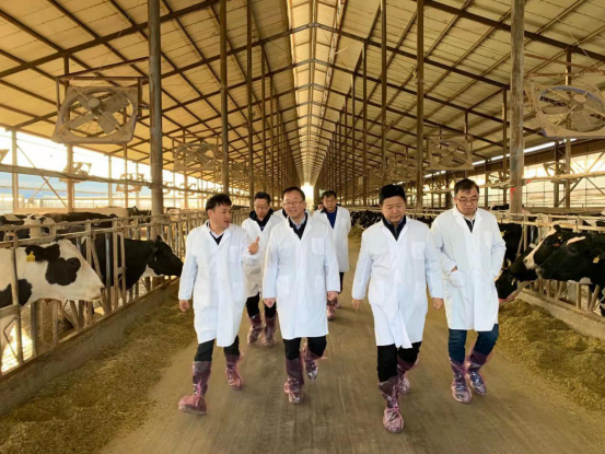 寧夏回族自治區(qū)農(nóng)業(yè)農(nóng)村廳黨組書記、廳長(zhǎng)王剛一行蒞臨花花牛乳業(yè)集團(tuán)調(diào)研