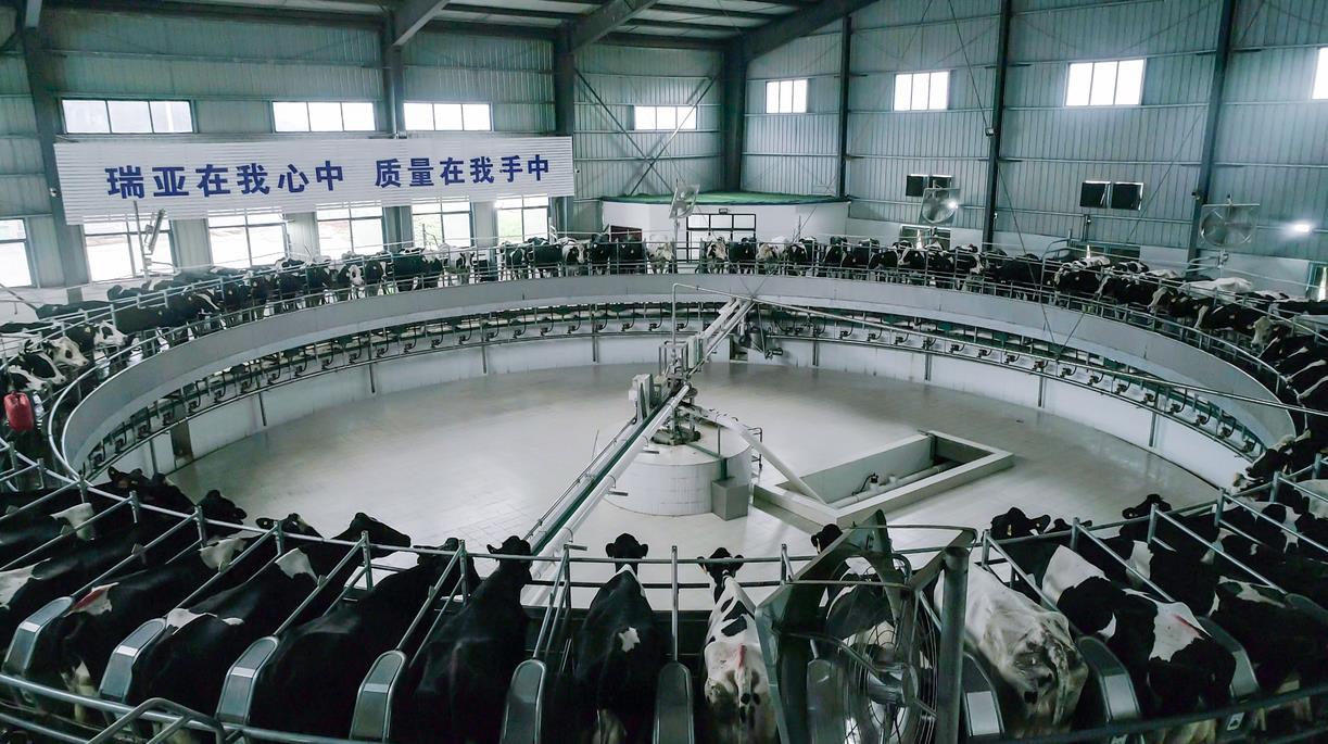 又雙叒叕獲獎(jiǎng)啦！花花牛榮獲“乳品質(zhì)量安全管理 優(yōu)秀企業(yè)”