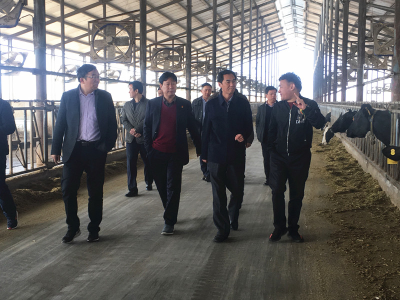 封丘縣縣長(zhǎng)王獻(xiàn)臣一行蒞臨 花花牛集團(tuán)養(yǎng)殖、乳品事業(yè)部參觀調(diào)研