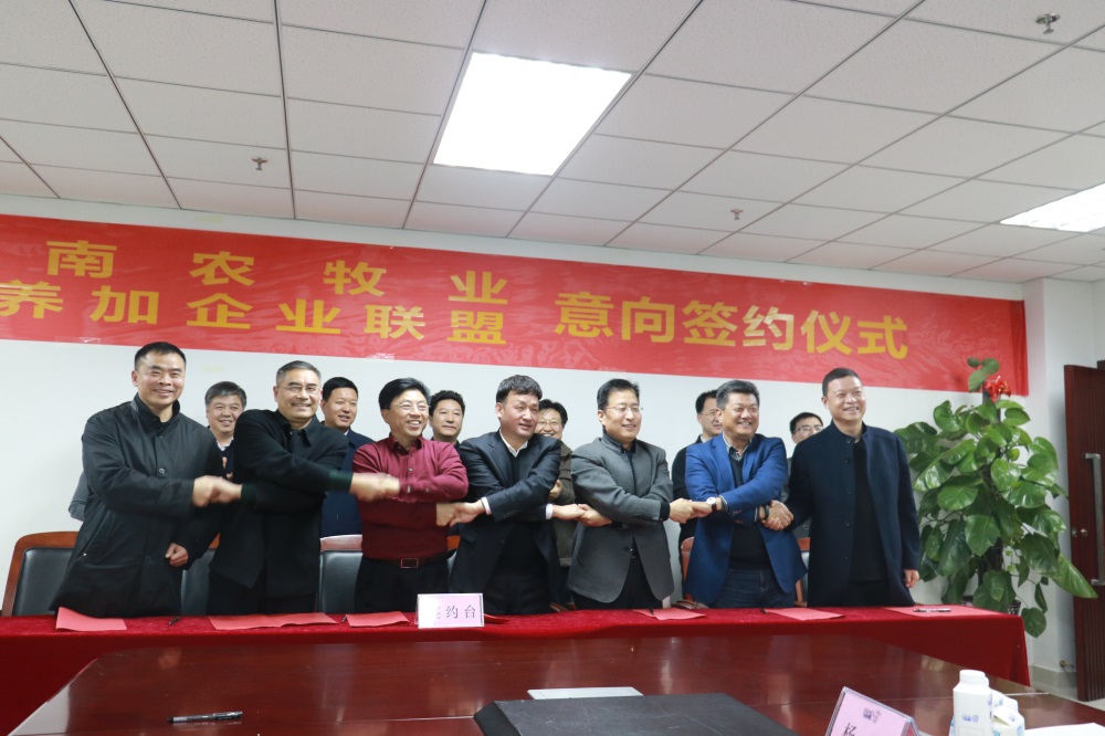 涉農(nóng)企業(yè)強(qiáng)強(qiáng)聯(lián)合，“抱團(tuán)取暖”共迎企業(yè)發(fā)展的春天