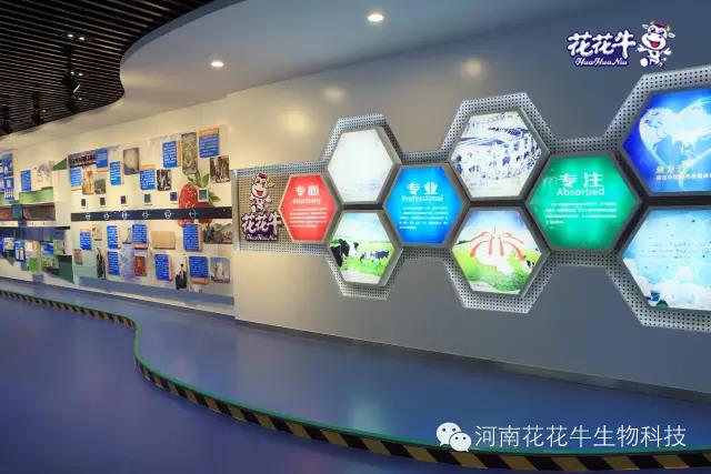 花花牛：務(wù)實(shí)、創(chuàng)新領(lǐng)潮市場(chǎng) 大企業(yè)體現(xiàn)大擔(dān)當(dāng)