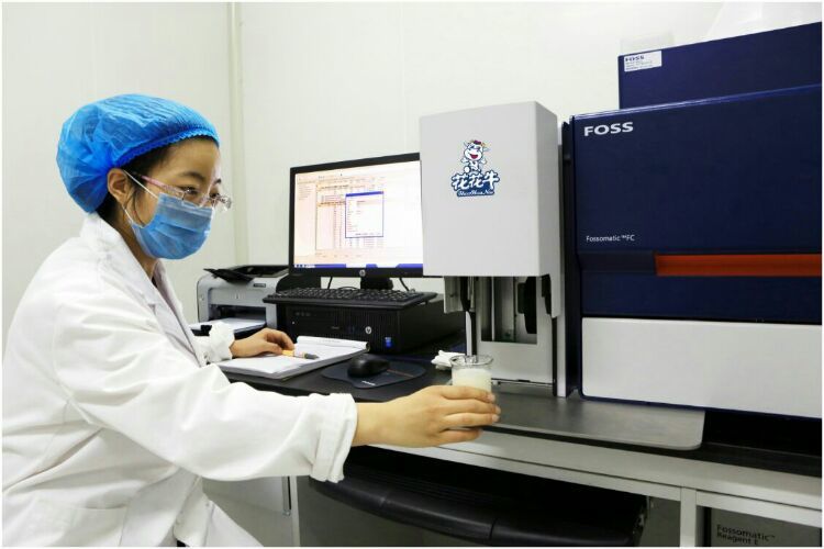 花花牛：務(wù)實(shí)、創(chuàng)新領(lǐng)潮市場(chǎng) 大企業(yè)體現(xiàn)大擔(dān)當(dāng)