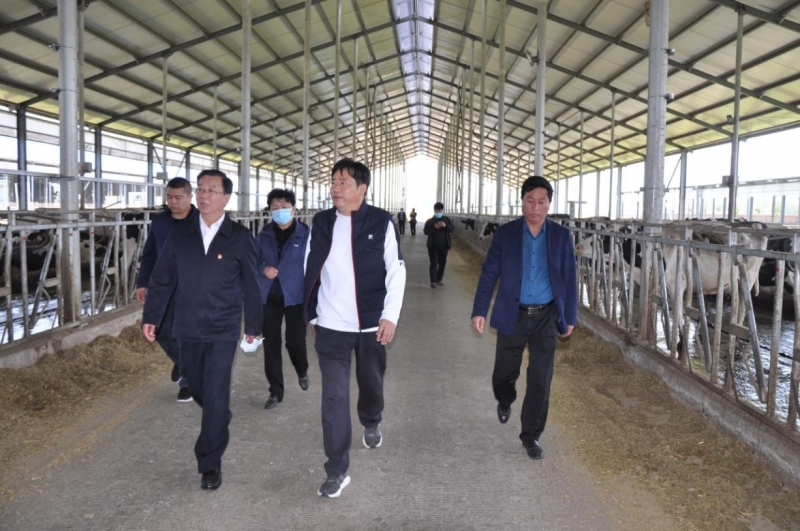 商丘市委常委、宣傳部部長王全周一行蒞臨睢縣瑞亞牧業(yè)有限公司調(diào)研